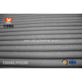 Stainless Steel Pipes ASTM A312 TP317L 1.4438 EN10204-3.1